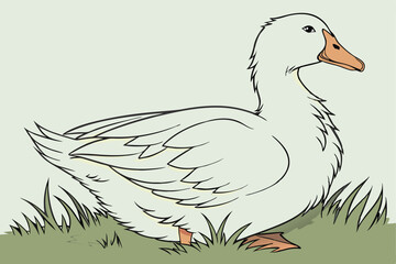67 a duck, a white duck, a cute duck, a happy duck, a fluffy duck, a farm animal, a domestic fowl, a waterfowl, white duck, detailed duck, realistic duck, highly detailed duck, photorealistic duck, 8k
