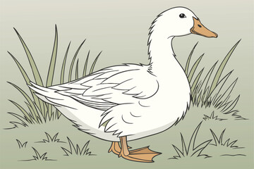 67 a duck, a white duck, a cute duck, a happy duck, a fluffy duck, a farm animal, a domestic fowl, a waterfowl, white duck, detailed duck, realistic duck, highly detailed duck, photorealistic duck, 8k