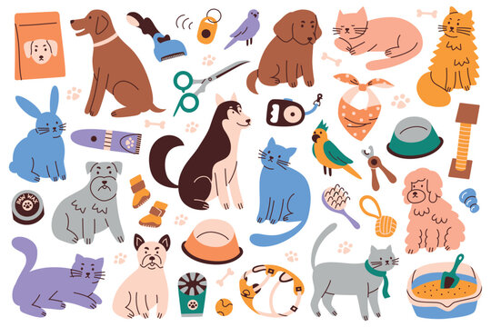 Flat cartoon collection of pets and items for pet home care. Dogs, cats and parrots with grooming tools and supplies. Daily hygiene, feeding, walking and playing accessories vector illustrations set