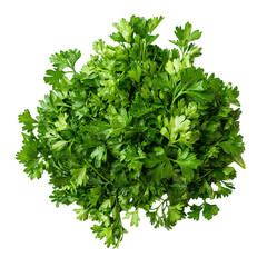 Fototapeta premium Parsley pile png