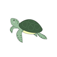 Turtle