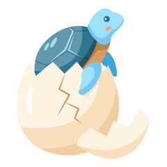Baby turtle hatch from egg