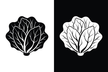 Lettuce Head Vector. Editable icon silhouette for Kitchen and Garden Design