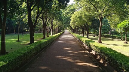 Obraz premium Lush park pathway lined with trees and shrubs.