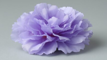 A purple blossom with open petals is featured against a neutral background, enhanced by soft shadows and professional studio lighting, highlighting its delicate beauty