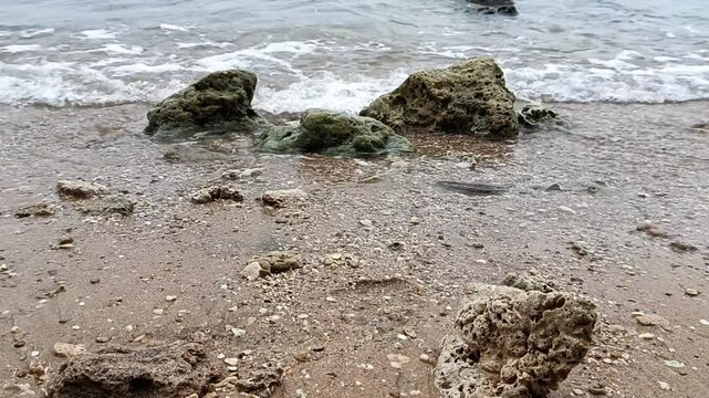 Close-up of Coastal Rocks and Gentle Waves on Sandy Shore
