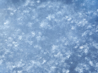 Macro photograpy of snowflakes. Background of winter fluffy snow texture.