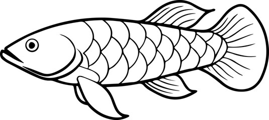 arowana fish outline vector illustration line art