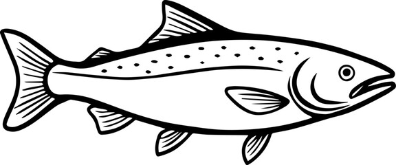Atlantic Salmon Outline Drawing, Line Art Vector