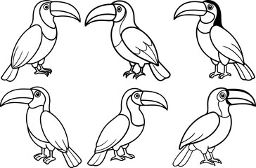 Set of toucan bird outline vector illustration line art