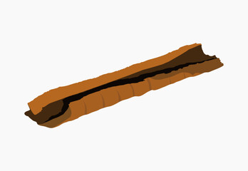 Cinnamon spice stick flat illustration design