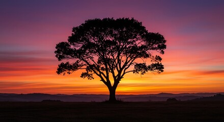 Silhouette Tree Stands in Serenity as Dawn Sky Blazes With Vivid Reds and Purples, Evoking Peace, Beauty, and the Promise of a New Day