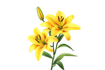 Obraz premium Two Yellow Lilies Blooming Beautifully Nature's Elegance