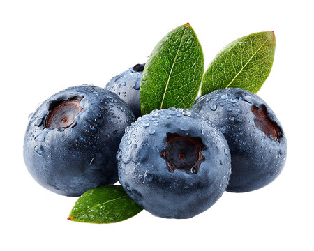 Fresh Blueberries with Green Leaves on Transparent Background, PNG