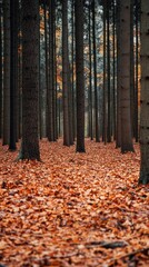Autumn Forest Landscape with Tall Trees and Colorful Fallen Leaves