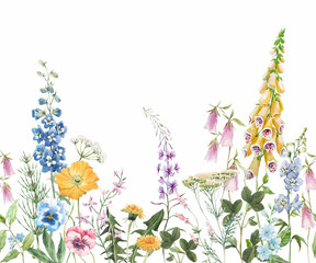 Watercolor Wildflower Border , Delicate Floral Meadow hand drawn Seamless Pattern