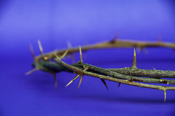 A rustic crown of thorns laid on purple cloth reminds us of Christ suffering and sacrifice.