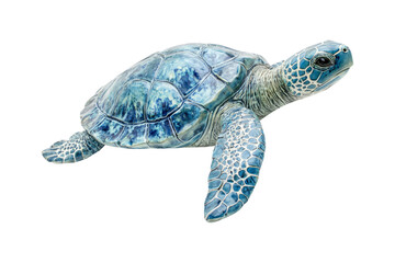 Obraz premium Green sea turtle isolated transparent-background.png
