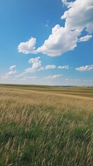 Obraz premium Expansive Green Field Under a Bright Blue Sky with Fluffy Clouds