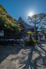 Obraz premium 日本、大阪府、葛井寺、寺院、佛寺、佛教、文化財、木造建築、古代建築、日本文化、歷史名勝、青空、木、綠色、旗幡