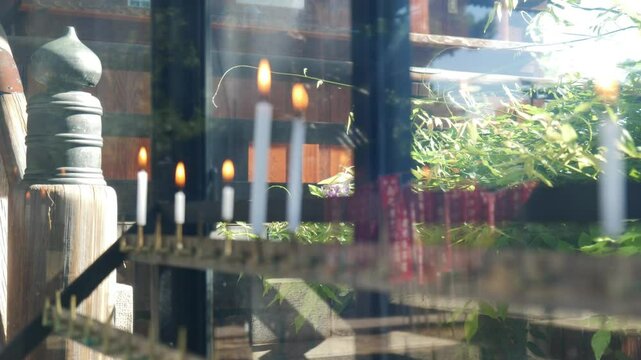日本、大阪府、葛井寺、寺院、佛寺、佛教、文化財、木造建築、古代建築、日本文化、歷史名勝、青空、木、綠色、旗幡