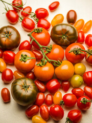 Various types of tomatoes over white