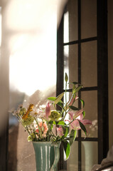 Close-up of daisies and lilies in sunlight