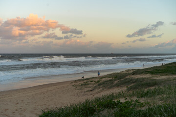 People walk along the ocean shore with dogs