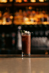 A bloody Mary drink with a top garnish