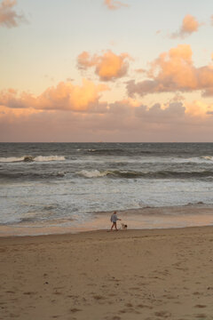 People walk their dog along the beach