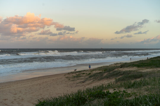 People walk along the ocean shore with dogs