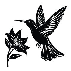 Humming bird in flight silhouette, feeding from a flower, vector