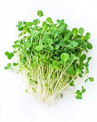 Obraz premium Microgreens on White Background: Fresh Bunch of Green Sprouts, Top View