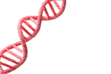 Exploring genetic structures dna helix close-up laboratory setting scientific image macro view biological concept