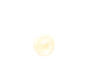 Single Partially Eaten Round Cracker on Black Background