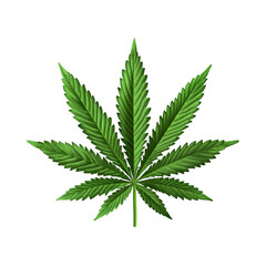 Cannabis Leaf Green Plant Marijuana Nature Weed Hemp