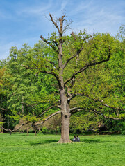 Kalisz the oldest city in Poland.