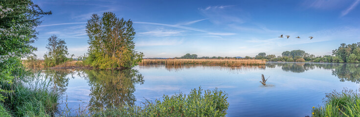 Tranquil Lake with Birds in Flight at Sunrise
