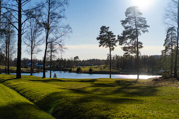 Obraz premium Lake with Bare Trees