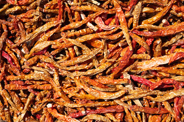 Drying red chilli pepper spices in the sun, India, fresh ingredients for cooking indian food