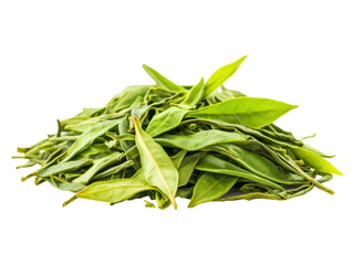 Fresh green tea leaves for culinary and wellness purposes, cut out