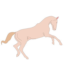 Illustration of a horse raising its two front legs