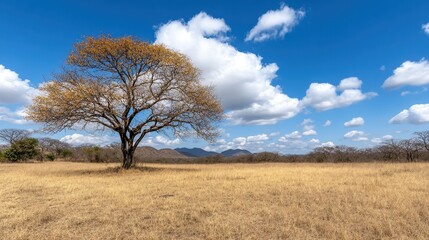 Solitary Tree Against a Blue Sky with Fluffy Clouds and Mountains