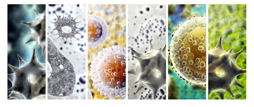Collection banners with pathogenic bacterias and viruses. 3d virus under microscope. Fast multiplication of bacteria. Infection and microbe. Rapid bacterial growth. Infection and microbial activity