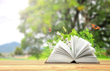 Book of nature. Horizontal banner with book wood table. Knowledge, education, ecology, go green,...