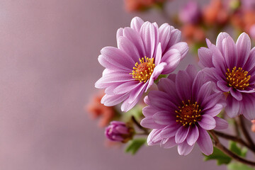 Obraz premium Three pink daisy-like flowers with yellow centers sit against a pink background