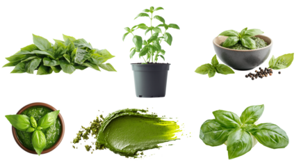 Fresh basil leaves and pesto sauce arranged creatively, PNG, created with Generative AI