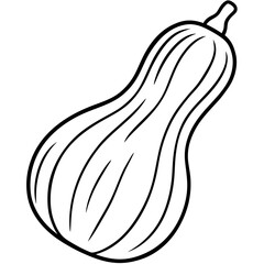 Minimalist Butternut Squash Vector Art