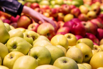 A person is currently picking fresh apples from a large pile of apples