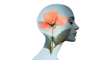 A silhouette of a woman's head with a blooming flower, symbolizing beauty and inner peace.